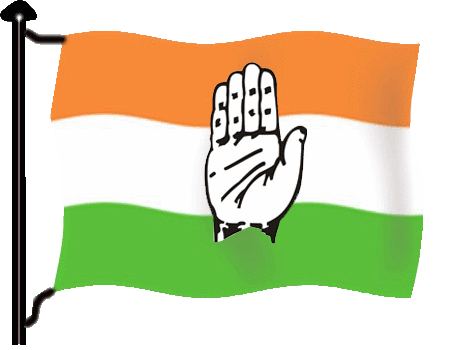 congress logo flag