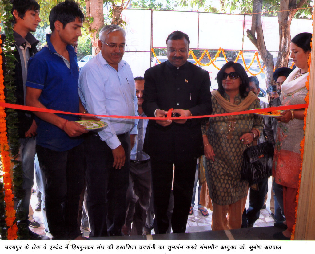 div.commr_exhibition_20-12-12