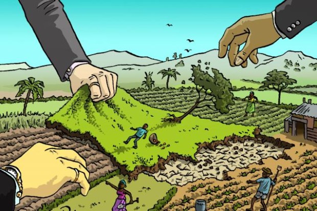 land_grab_polyp_cartoon_-_no_border