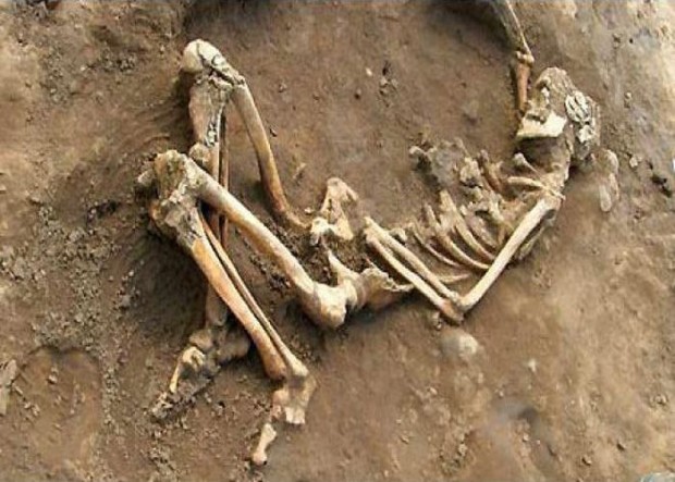dead-body-found-in-fatehpur-55efca4971b90_l