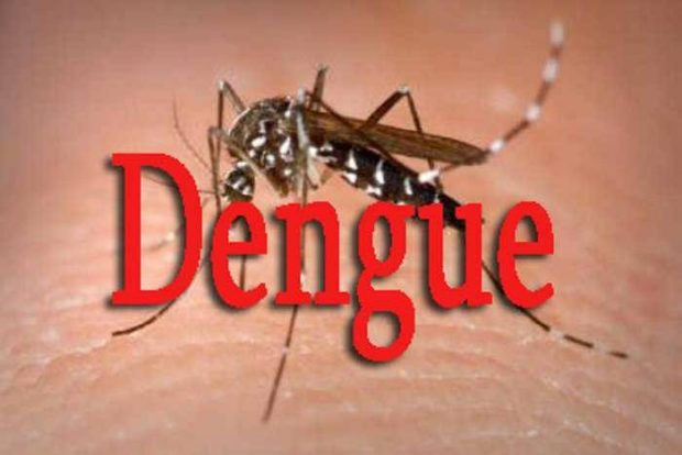 l_dengue-582068194fabd