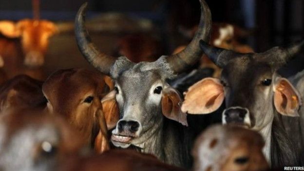 सांस्कृतिक राजनीति मँहगी पड़ने वाली है -अपने ही सांस्कृतिक फंदे में फंसी भाजपा