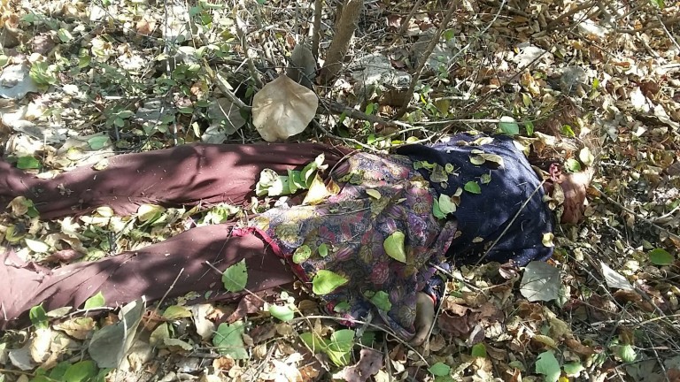 खेतों पर काम करती बालिका को उठा ले गया पैंथर, बाद में मिला शव