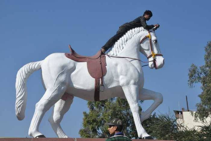 महाराणा प्रताप के घोड़े चेतक पर चढ़ गया शराबी युवक