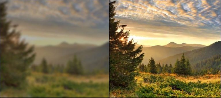 Zinc can improve your vision…