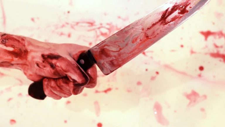 उदयपुर में ड्राइवर ने की मालकिन की ह्त्या -शहर में फैली सनसनी