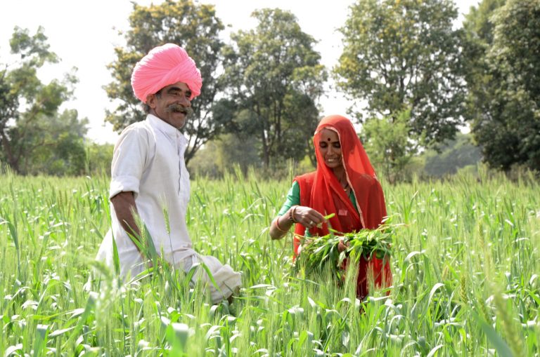 Zinc Fortification in Indian Soils, to Supplement Zinc Deficiency in Human Body