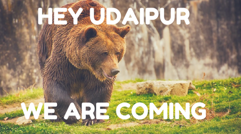 हेमा हो गयी बूढी, भोलू अकेला बहलाता है मन, इसलिए रहे हैं दिल को लुभाने भूरे रंग के ये हॉट कपल।