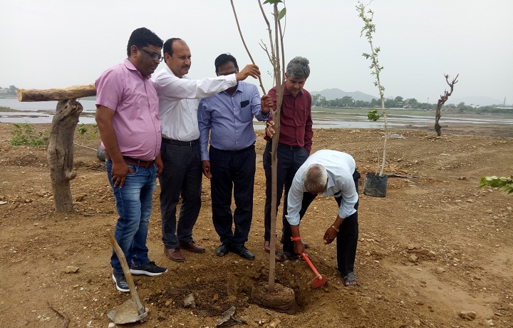 Hindustan Zinc in association with Urban Improvement Trust (UIT) and Forest Department plant trees on the developed mounds in Fatehsagar lake