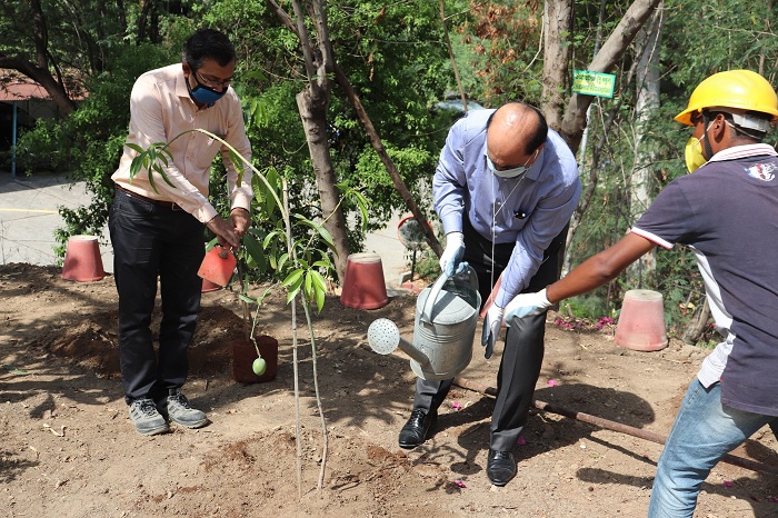 वेदांता द्वारा विश्व पर्यावरण दिवस का आयोजन हिन्दुस्तान जिंक में मनाया विश्व पर्यावरण दिवस