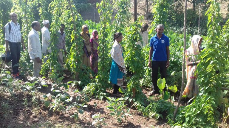 राजस्थान के 100 किसानों को डीएस ग्रुप के पहल’ प्रोजेक्ट से 25.38 लाख रूपयों की अतिरिक्त आय