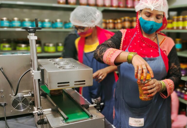 हिन्दुस्तान जिंक के सहयोग से ग्रामीण सखी महिलाएं बनी सशक्तिकरण की मिसाल